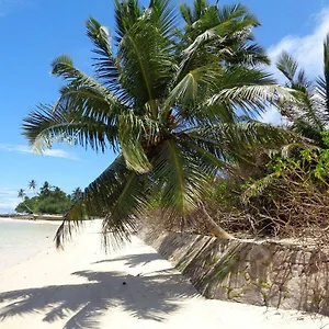 https://turtle-bay-rustic-bungalow.maheislandhotels.com